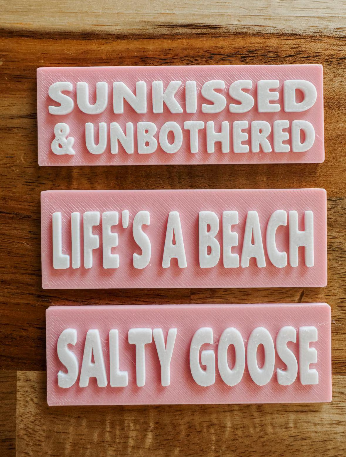 Summer Goose Sign Set
