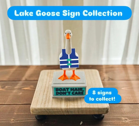 Lake Goose Sign Set